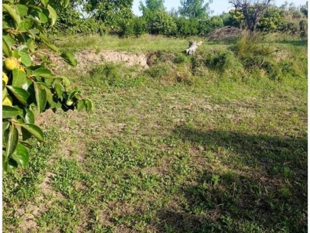 Casa rústica / Caserío en Venta en Cehegín