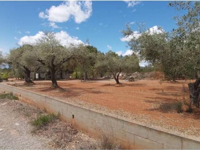 Casa rústica / Caserío en Venta en Cervera del Maestre