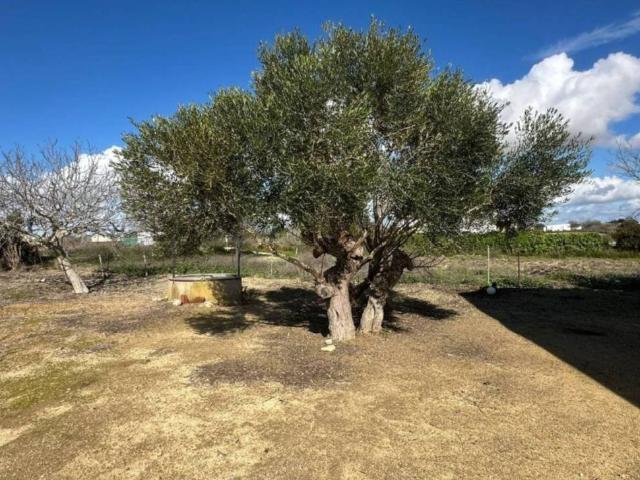 Casa rústica / Caserío en Venta en Chiclana de la Frontera