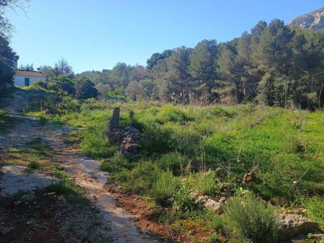 Casa rústica / Caserío en Venta en Dénia