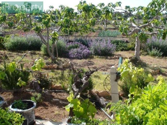 Casa rústica / Caserío en Venta en El Vendrell