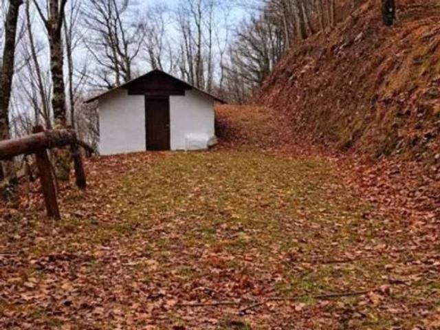 Casa rústica / Caserío en Venta en Elgorriaga