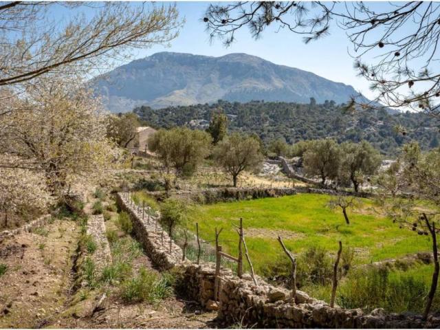 Casa rústica / Caserío en Venta en Escorca