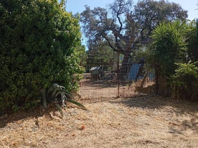 Casa rústica / Caserío en Venta en Higuera de la Sierra