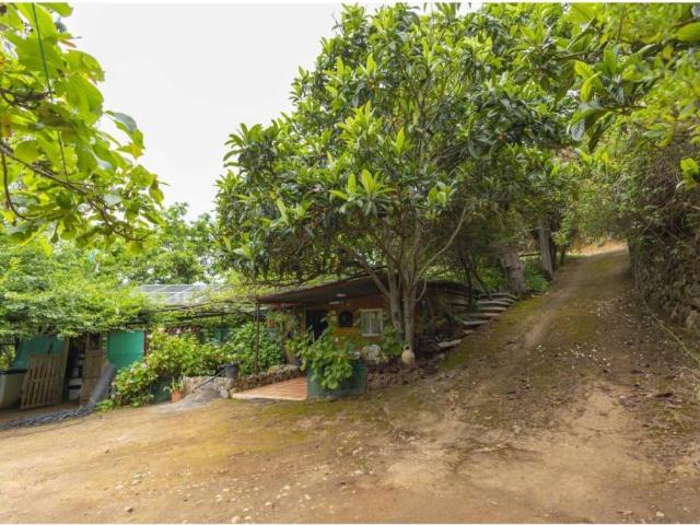 Casa rústica / Caserío en Venta en La Guancha