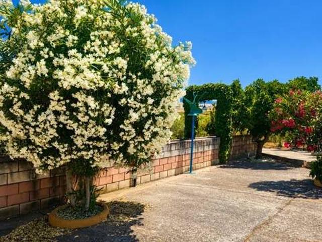 Casa rústica / Caserío en Venta en La Parra