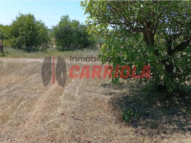 Casa rústica / Caserío en Venta en Los Cerralbos