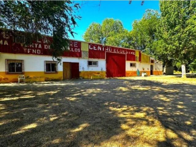 Casa rústica / Caserío en Venta en Madridejos