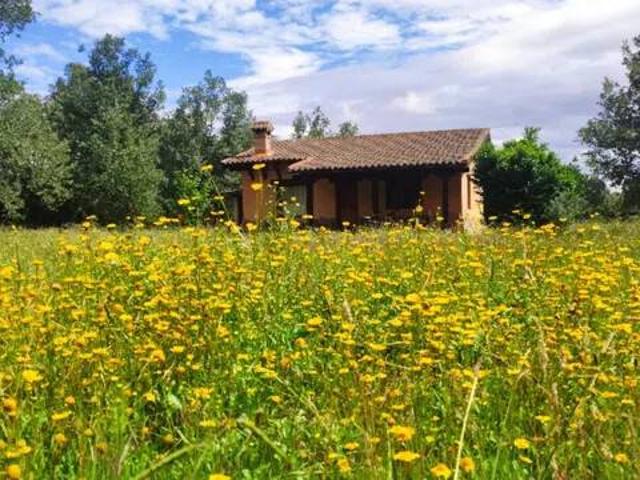 Casa rústica / Caserío en Venta en Madrigal de la Vera