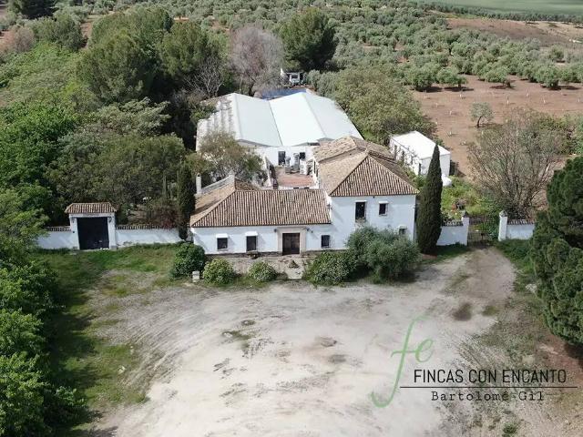 Casa rústica / Caserío en Venta en Marchena