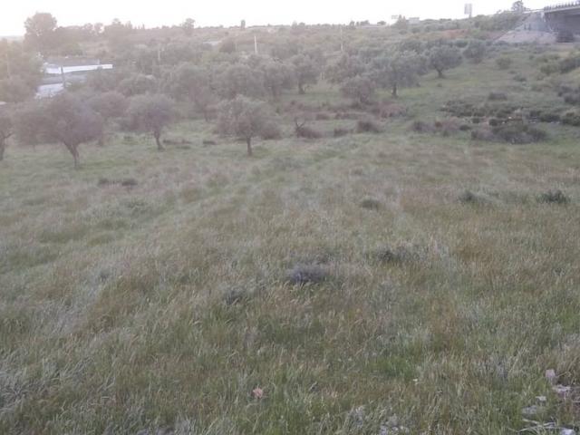 Casa rústica / Caserío en Venta en Mérida
