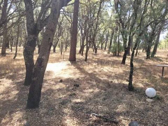 Casa rústica / Caserío en Venta en Mijares