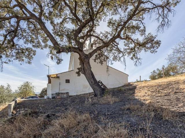 Casa rústica / Caserío en Venta en Montefrío