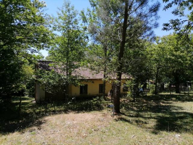 Casa rústica / Caserío en Venta en Navasfrías