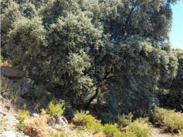 Casa rústica / Caserío en Venta en Nevada