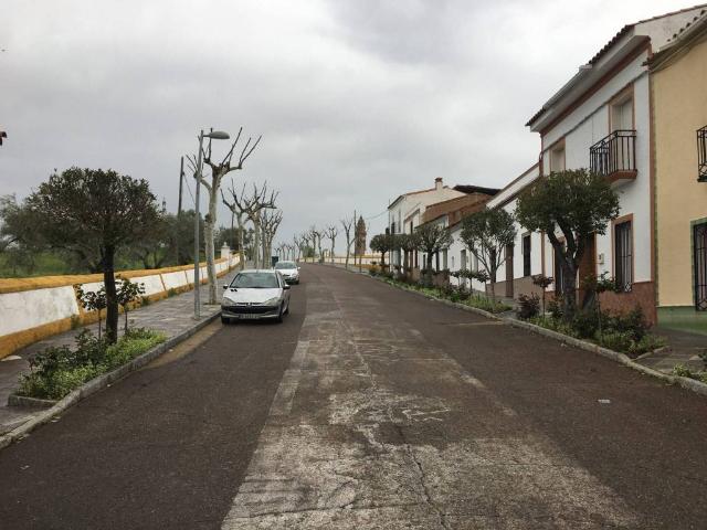 Casa rústica / Caserío en Venta en Oliva de La Frontera