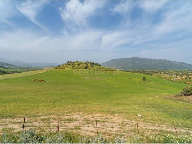 Casa rústica / Caserío en Venta en Olvera