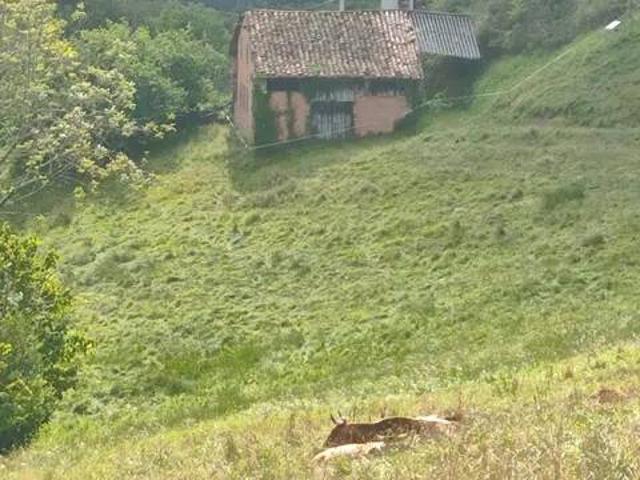 Casa rústica / Caserío en Venta en Onís