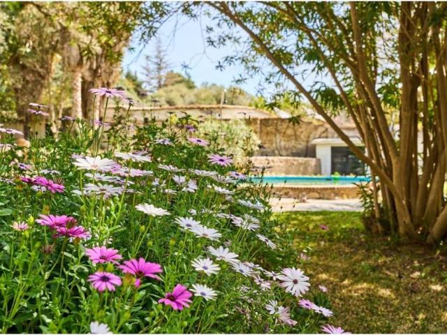 Casa rústica / Caserío en Venta en Órgiva