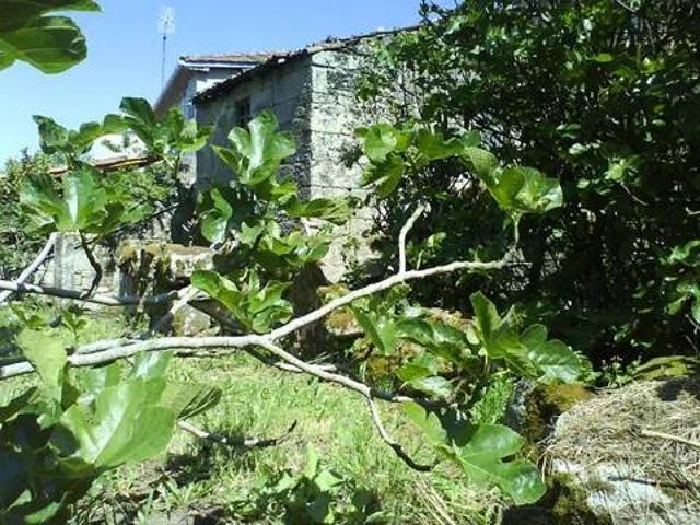 Casa rústica / Caserío en Venta en Ourense