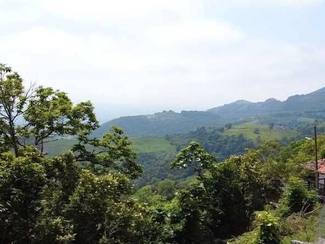 Casa rústica / Caserío en Venta en Parres