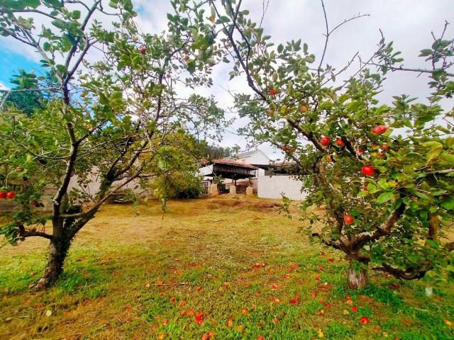 Casa rústica / Caserío en Venta en Pravia