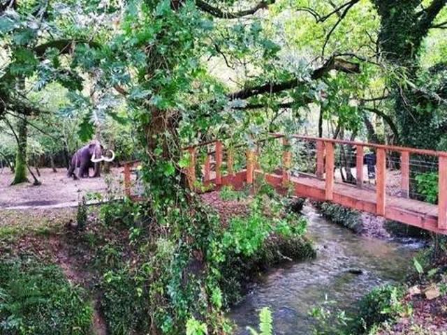 Casa rústica / Caserío en Venta en Rasines