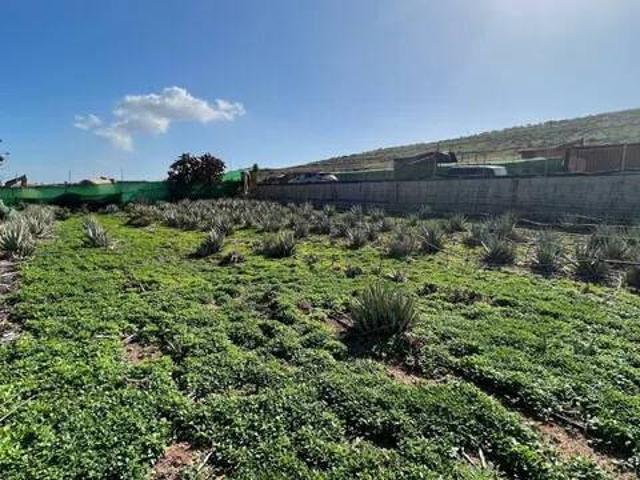 Casa rústica / Caserío en Venta en Santa Lucía de Tirajana