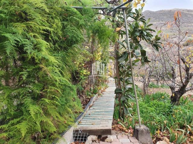 Casa rústica / Caserío en Venta en San Bartolomé de Tirajana