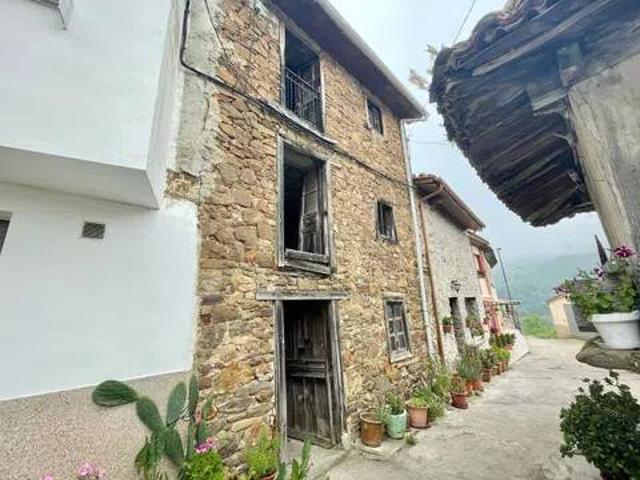 Casa rústica / Caserío en Venta en San Martín del Rey Aurelio