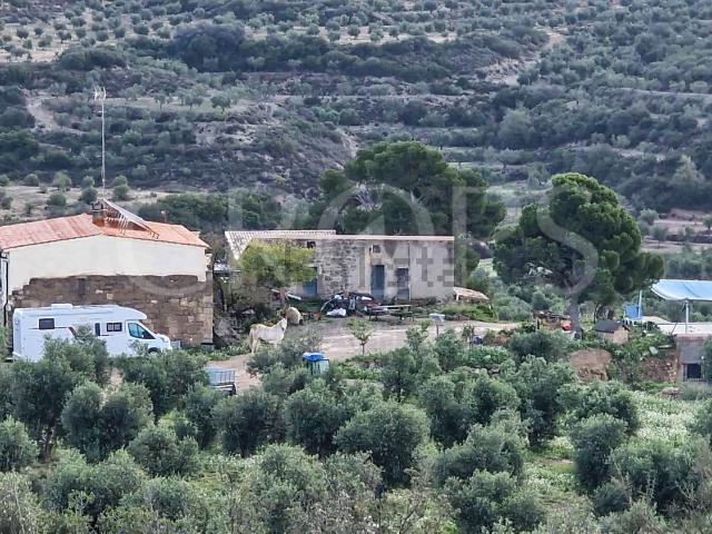 Casa rústica, Castelldans