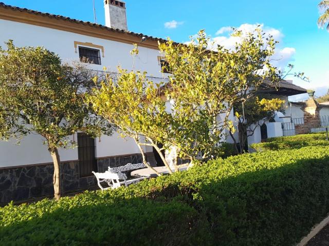 Casa rústica, Cumbres Mayores