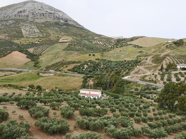 Casa rústica, Antequera
