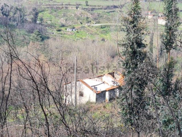 Casa rústica, Ancede e Ribadouro