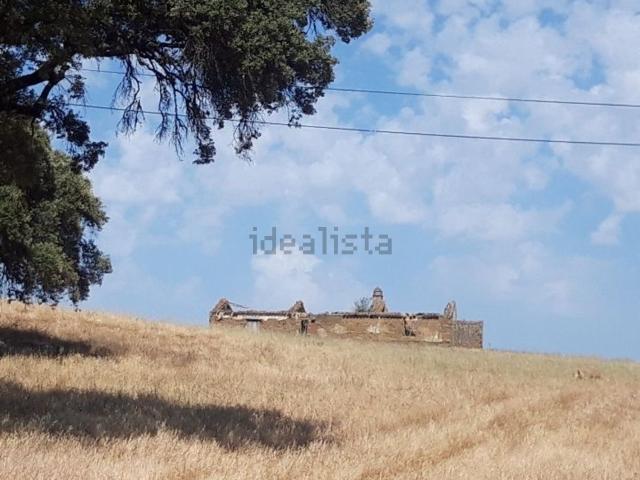Casa rústica, Abela