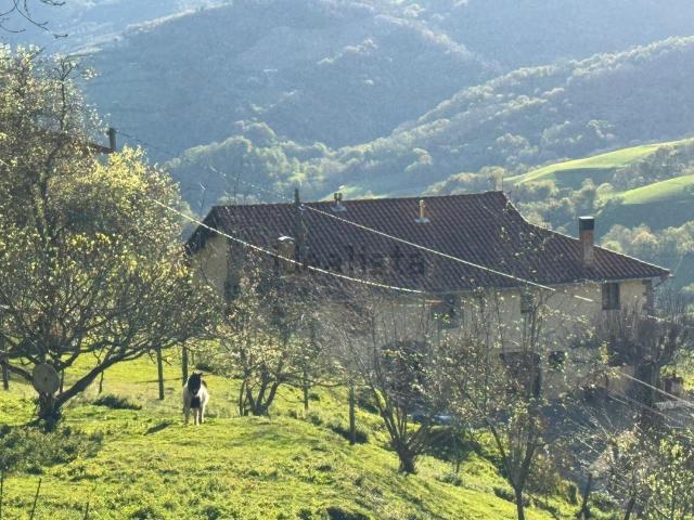 Casa rústica, Aia