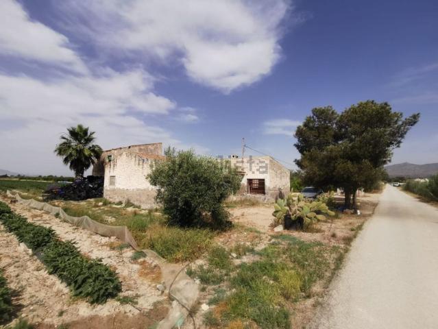Casa rústica, Albatera