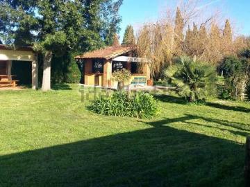 Casa rústica, Albergaria a Velha e Valmaior