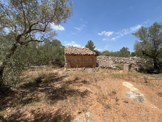Casa rústica, Aldover