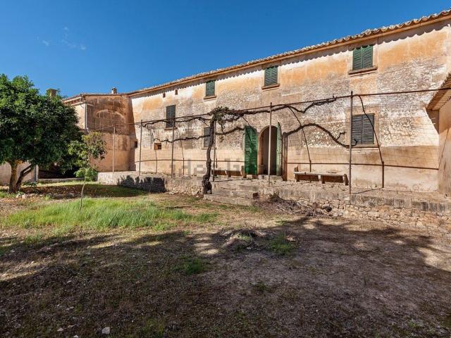 Casa rústica, Algaida
