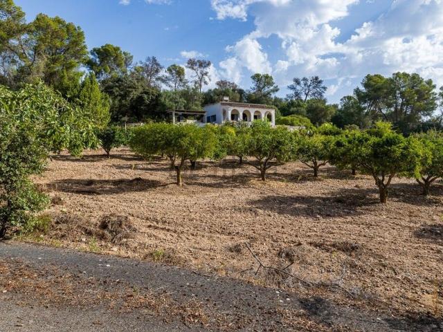 Casa rústica, Algaida