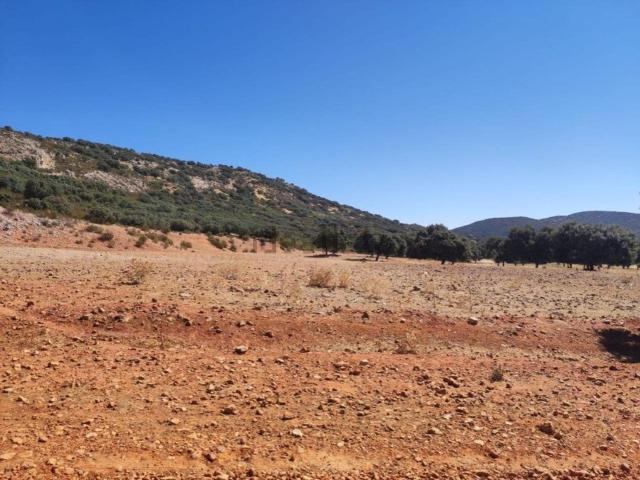 Casa rústica, Almodovar del Campo