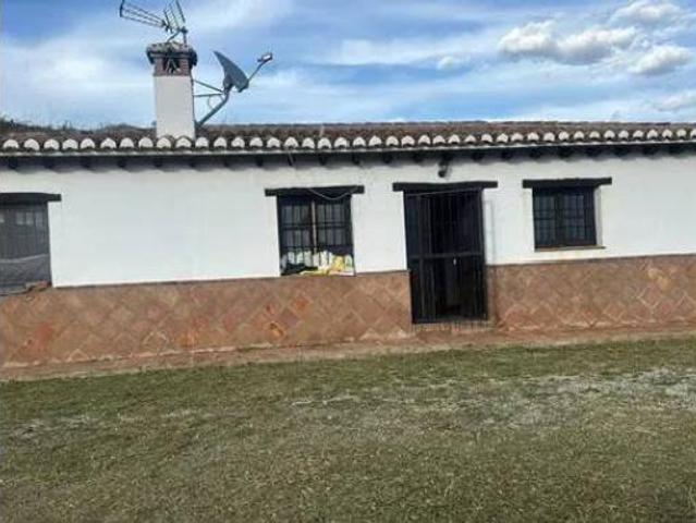 Casa rústica Alquiler Almáchar, Almáchar