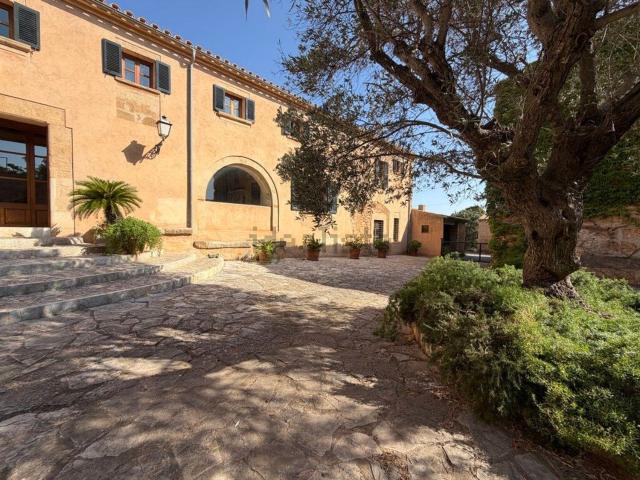 Casa rústica, Arta