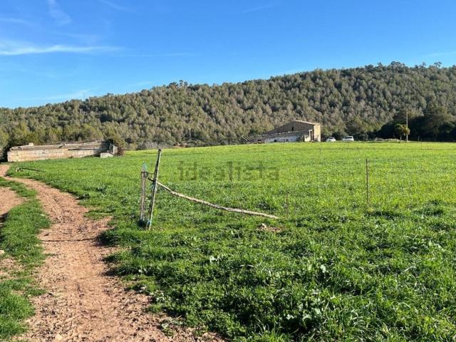 Casa rústica, Arta