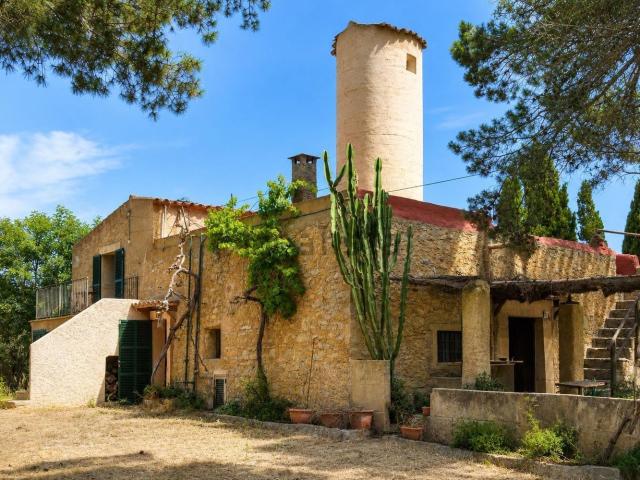 Casa rústica, Arta