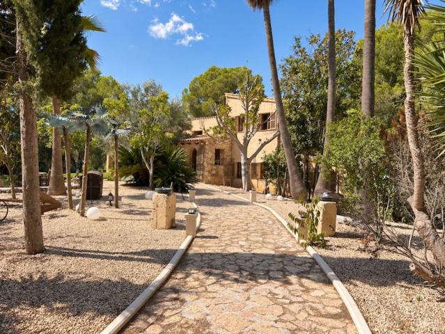 Casa rústica, Arta