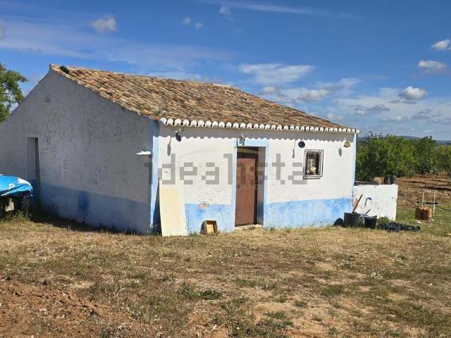 Casa rústica, Pêra