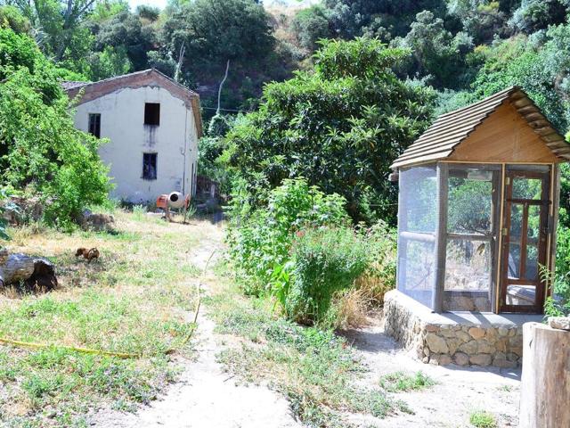 Casa rústica, Arriate