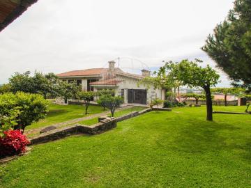 Casa rústica, Terroso